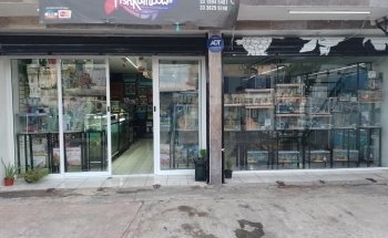 Aquarium Fish Rainbow zapopan