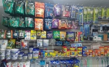 Aquarium Fish Rainbow zapopan