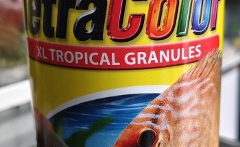 Aquarium Fish Rainbow zapopan