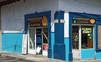 Acuario Xcaret Uruapan