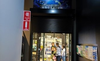 Sydney City Aquarium