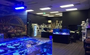Sydney City Aquarium