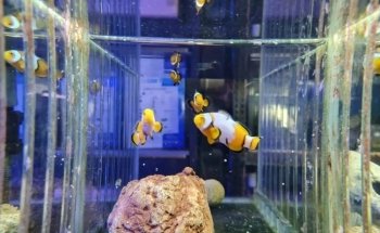 Sydney City Aquarium