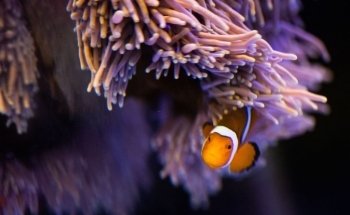 Sydney City Aquarium