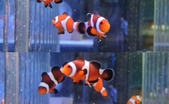 Sydney City Aquarium