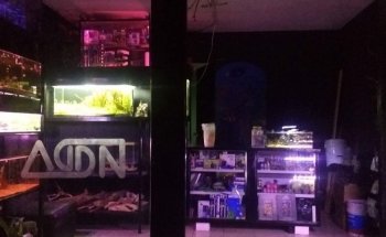 Galeria Aqua Diseño Dragon Negro