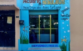 Acuario Nautilus