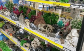 Perfect Pets Kingaroy