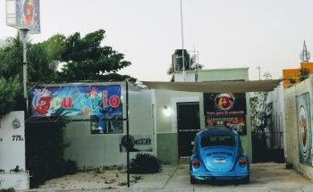 Acuario Mr. Blue Fish