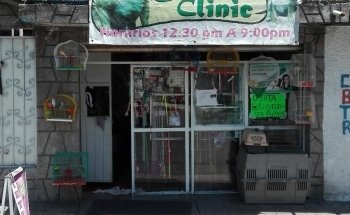 Chihuahua Clinic Acuario Amazonas