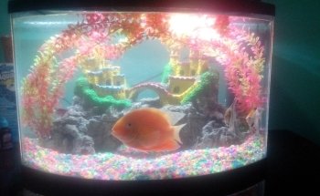AQUABIOTA AQUARIUM