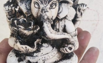 ACUARIO AQF AQUAFRIAS