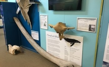 The Central Coast Marine Discovery Centre