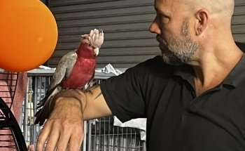 Fins Fangs Feathers & Fur