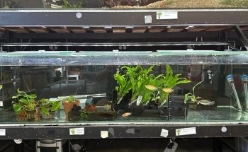 Fins Fangs Feathers & Fur