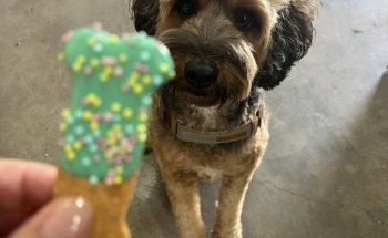 Fins Fangs Feathers & Fur