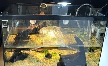 Fins Fangs Feathers & Fur