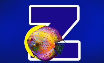 Acuario Zoogom