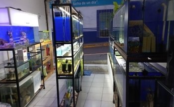 Acuario Zoogom