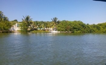 TilaNet -Calidad Total en Cria de Tilapia-