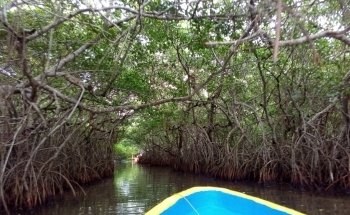 TilaNet -Calidad Total en Cria de Tilapia-