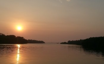 TilaNet -Calidad Total en Cria de Tilapia-