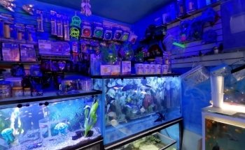 Acuario Vida Salvaje