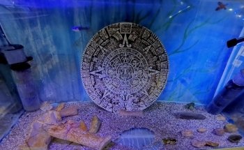 Acuario Vida Salvaje