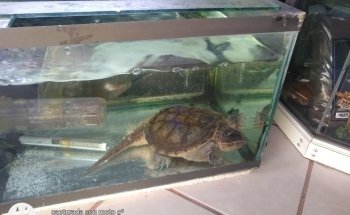 Wildlife Aquarium