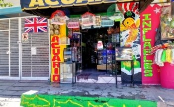 Acuario Vida Salvaje