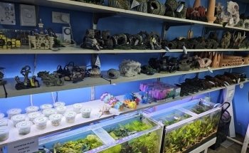 Summerland Aquariums
