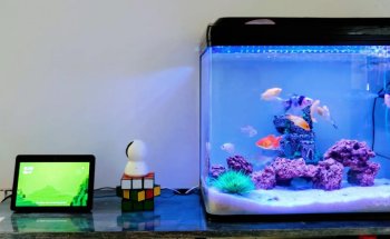 Summerland Aquariums