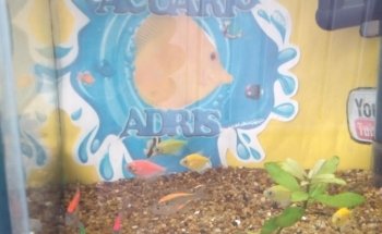 Acuario Adris