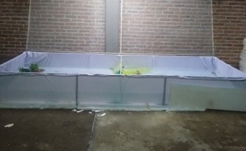 Granja Exotipez Aguascalientes