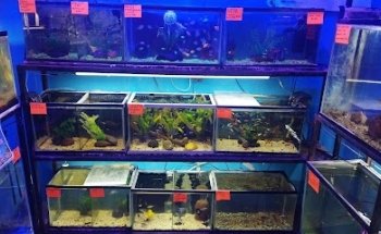 Acuario Del Valle