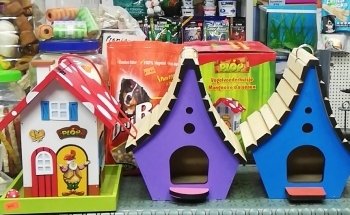 Estetica canina y Acuario