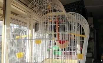 Estetica canina y Acuario