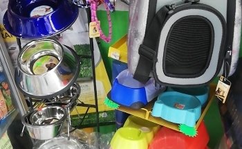 Estetica canina y Acuario