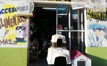 Estética canina y Acuario