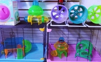 Acuario Nemo Jr. Uno