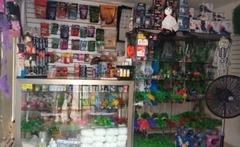 Acuario Nemo Jr. Uno