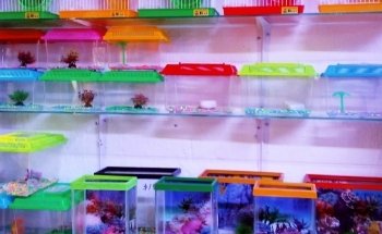 Acuario Nemo Jr. Uno