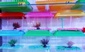 Acuario Nemo Jr. Uno