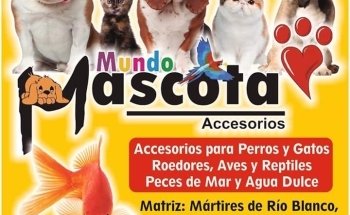 Mundo Mascota
