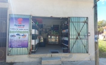 Acuario Campeche y Pet Shop