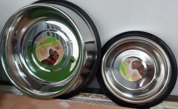 Acuario Campeche y Pet Shop