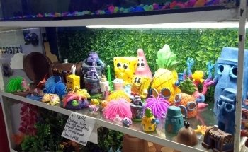 Acuario Y Tienda De Mascotas El Bucanero