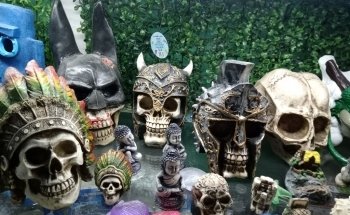 Acuario Y Tienda De Mascotas El Bucanero