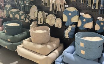 Petcare Byron Bay
