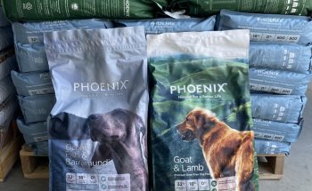 Petcare Byron Bay